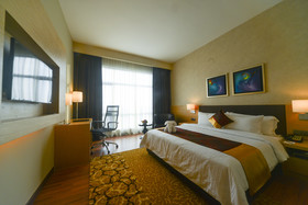 The Light Hotel
