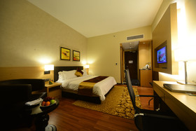 The Light Hotel