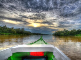 Sukau Proboscis Lodge Bukit Melapi