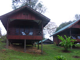 Sukau Proboscis Lodge Bukit Melapi