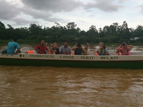 Sukau Proboscis Lodge Bukit Melapi
