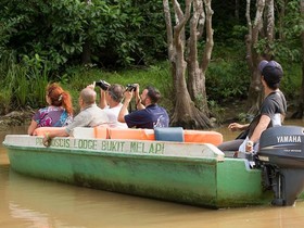 Sukau Proboscis Lodge Bukit Melapi
