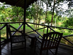 Sukau Proboscis Lodge Bukit Melapi