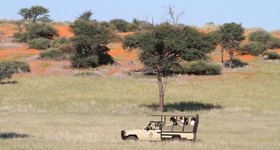 Intu Afrika Kalahari Camelthorn Lodge