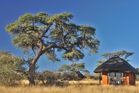Intu Afrika Kalahari Camelthorn Lodge