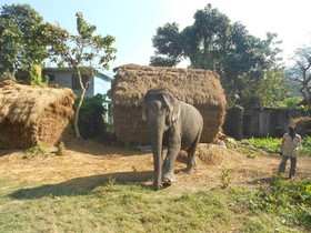 Eco Adventure Resort