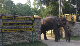 Maruni Sanctuary Lodge