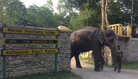 Maruni Sanctuary Lodge