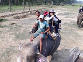 Sauraha Resort