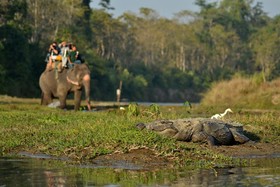 Travellers Jungle Camp