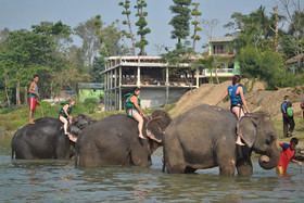 Travellers Jungle Camp