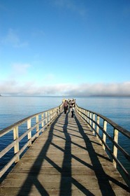 The Heads Hokianga