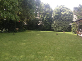 Walnut Grove Lodge