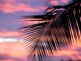 Sofitel Bora Bora Marara Beach Resort