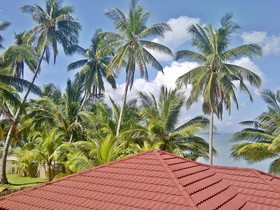Foxy’s Beach Resort