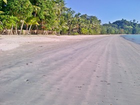 Foxy’s Beach Resort
