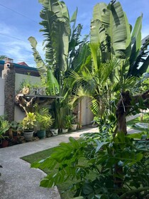 The Hat Trick Hostel