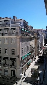 Lisbon Silver Flower