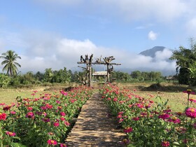 Hinpha Homestay
