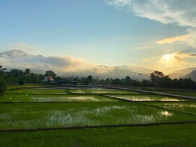 Hinpha Homestay