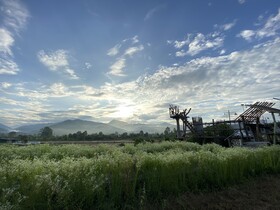 Hinpha Homestay