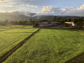 Hinpha Homestay