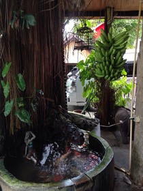 Bamboo Village