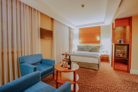 New Park Ankara Hotel