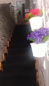 Roncalli Suites & Aparts