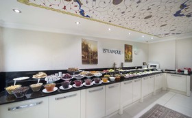 The Ritus Hotel Istanbul Sultanahmet Tapestry Collection by Hilton