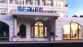 Sealife Lounge