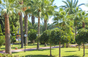 Lonicera Resort & Spa