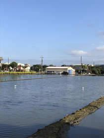 4 Seasons Garden B&B