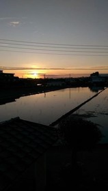 4 Seasons Garden B&B