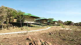 Serengeti Ikoma Wild Camp