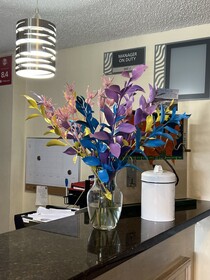 Suburban Studios Brunswick I-95