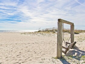 Wish Upon A Starfish