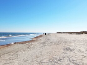 Wish Upon A Starfish