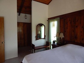 Fern Forest Getaway