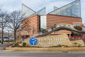 Days Inn by Wyndham Chattanooga Lookout Mountain West