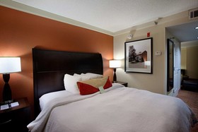 Hilton Garden Inn Chattanooga Downtown