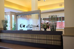Hilton Garden Inn Chattanooga Downtown