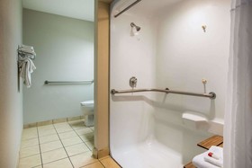 Microtel Inn & Suites by Wyndham Chattanooga/Near Hamilton P