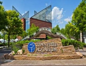 Super 8 by Wyndham Chattanooga Lookout Mountain TN