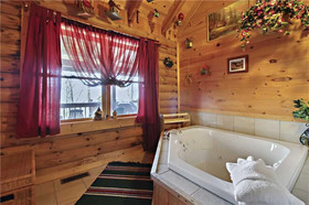 Alpine Ski Lodge