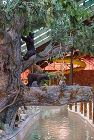 Westgate Smoky Mountain Resort & Spa