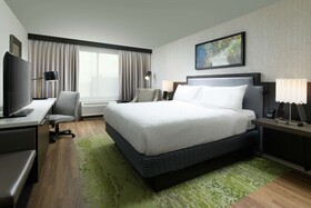 Hilton Garden Inn Memphis Downtown