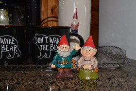 Gnome Alone