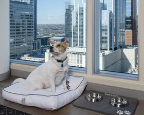 The Westin Austin Downtown