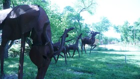 Rustic Creek Ranch Resort